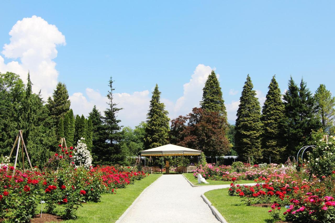 Hotel Md Камник Екстериор снимка